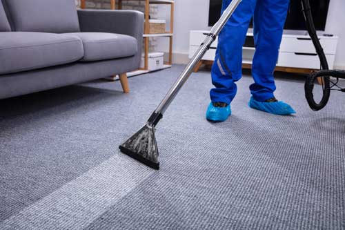 Best Carpet Cleaners in Davison