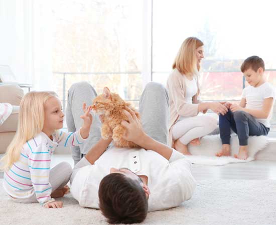 Odor Removal Service for Carpet